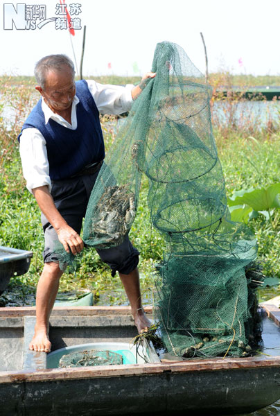 洪澤湖大閘蟹開捕上市