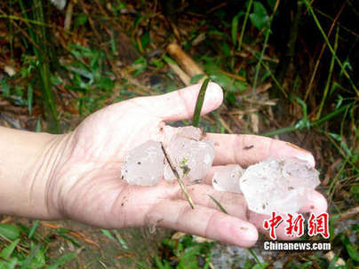 廣東北部遭遇特大冰雹 砸死鴨子擊穿鐵皮(圖)