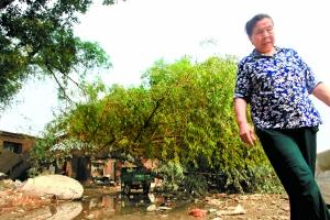 親歷者講述北京房山暴雨：眼睜睜看著道路變成河