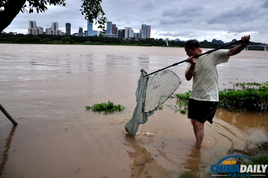 柳江柳州段出現(xiàn)超警戒水位 水位仍在上漲