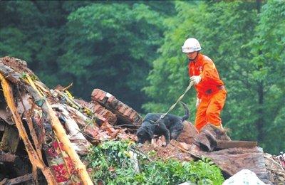 都江堰滑坡已致26人遇難 失蹤者數(shù)量升至123人