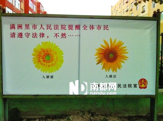 法院推“內(nèi)涵”宣傳畫：菊花入獄后變葵花