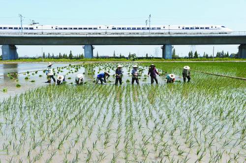 全國10大高溫城市浙江省獨(dú)占7席 江南熱 最熱是浙江