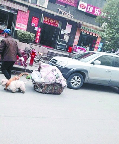 五旬老人街頭拾荒 小狗甘當“苦力”幫其拉車(圖)