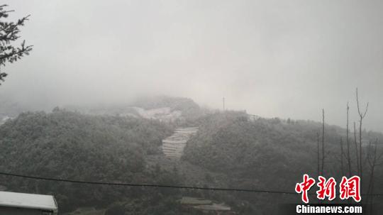 昆明迎來(lái)今年首場(chǎng)大范圍降雪 引起網(wǎng)友狂歡(圖)