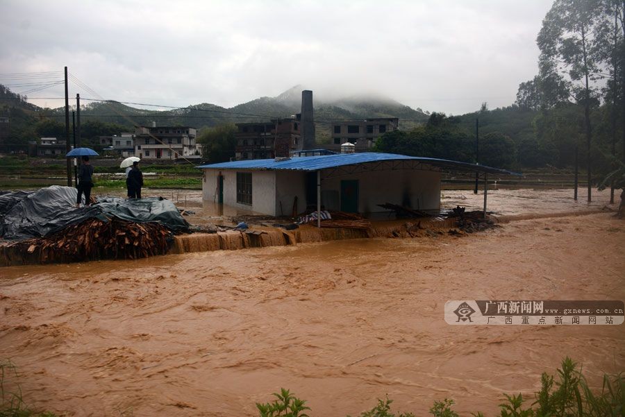 岑溪市受強降雨侵襲引發(fā)洪水 群眾被困屋內(nèi)(1/6)