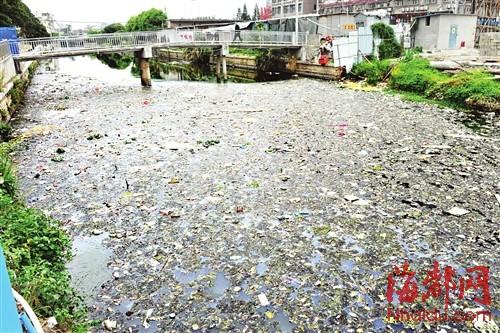 福建一河水污染發(fā)臭滋生蚊蟲 居民不敢開窗(圖)