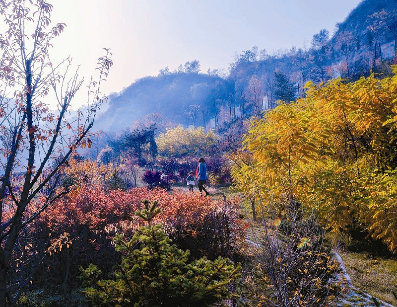 太原西山之秋 風(fēng)景美不勝收