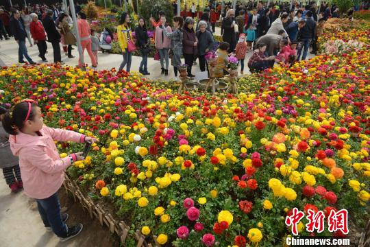 山西民眾踏青扎堆 花卉生態(tài)園日接游客上萬