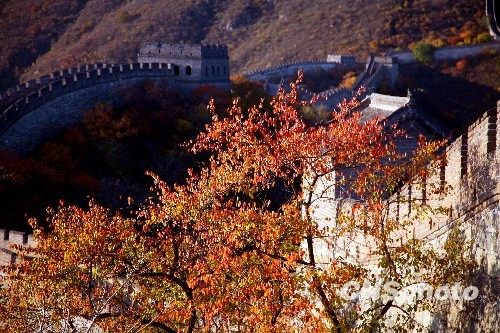 京城不僅香山有紅葉 10大最佳賞紅地推薦