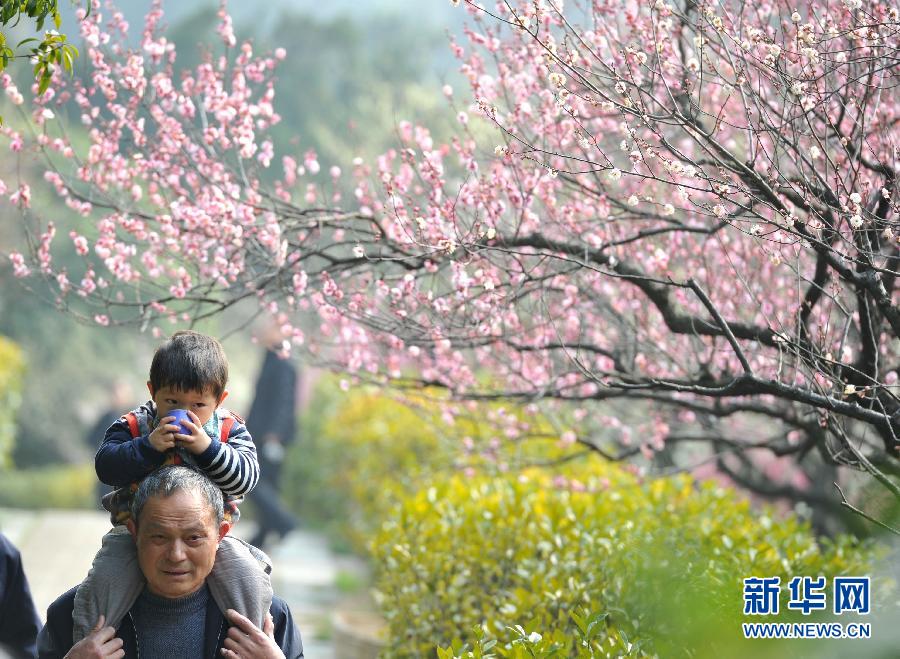 “花開意盎然，雀鳥上枝頭”：聽！春天的腳步聲