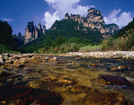 搶購(gòu)“自由旅神” 千人免票暢游張家界