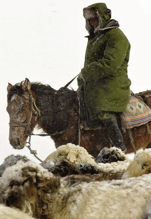 踏冰破雪追尋沙烏爾山仙蹤