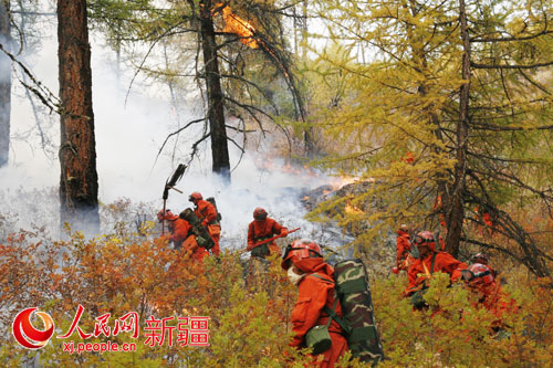 新疆森林武警忠誠守護(hù)廣袤林海造福駐地各族群眾