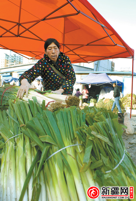 新疆：冬儲(chǔ)大蔥價(jià)格同比降低一半