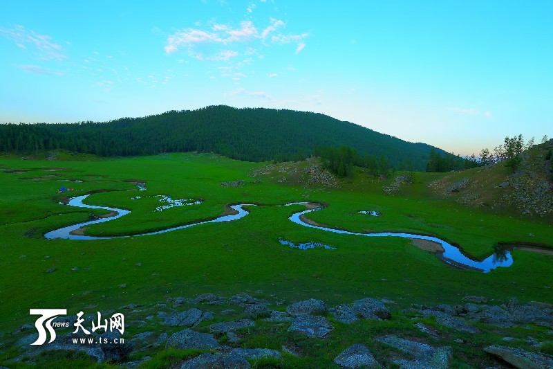 新疆哈巴河縣齊巴爾鄉(xiāng)夏牧場風景如畫