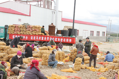 青河縣巧妙化解“用工荒”和“務工難”難題實現(xiàn)就業(yè)促增收