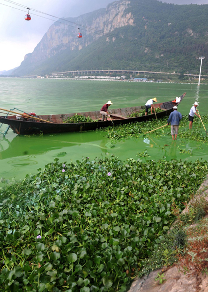 保衛(wèi)高原明珠之戰(zhàn)：云南加快滇池治理