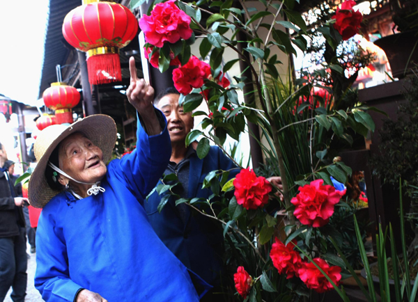 通海：“迎春花街”開街