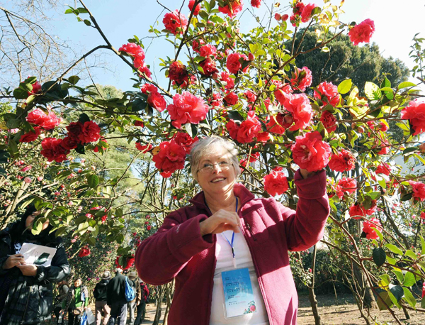 國(guó)際茶花協(xié)會(huì)代表參觀昆明植物茶花園