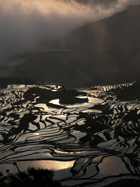 那一方水田里的光影流轉(zhuǎn)