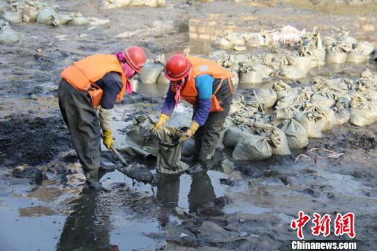 昆明入滇河道盤龍江“大掃除” 將清淤18萬方