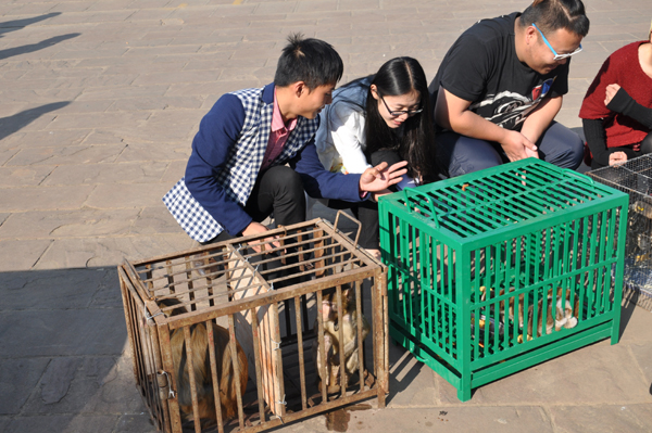 云南野生動(dòng)物園啟動(dòng)最大規(guī)模放生活動(dòng) 前往普洱放生