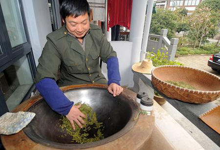 西湖龍井新茶進入采摘期