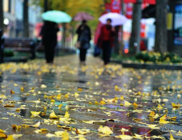 杭州迎大風(fēng)降溫降雨天氣