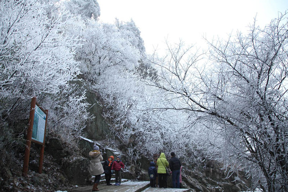 莫干山現(xiàn)霧凇美景