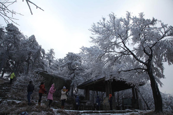 莫干山現(xiàn)霧凇美景