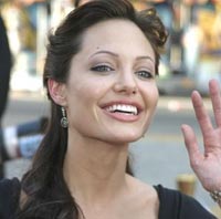 Angelina Jolie leaps into 'Kung Fu Panda'