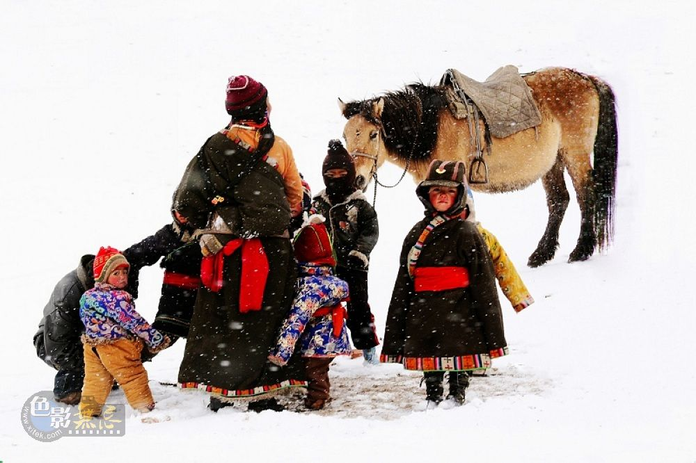 Editor's Pick:  Photos of Children (Group 1)