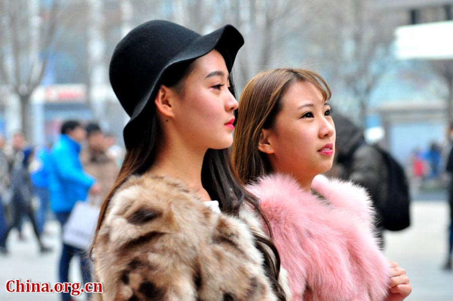 Beijing Style: Furry season