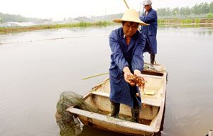 150 students suffer food poisoning in C China