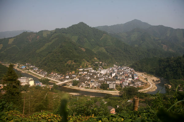 The arhat fruit in the mountains