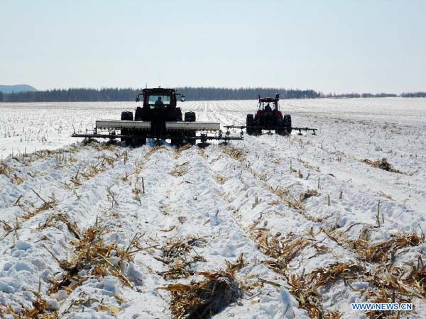 Heilongjiang's farmers begin spring ploughing in snow