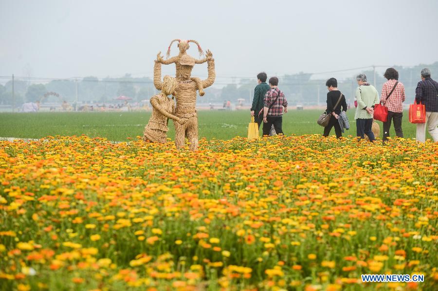 'Swinery tea bar' in China's Zhejiang