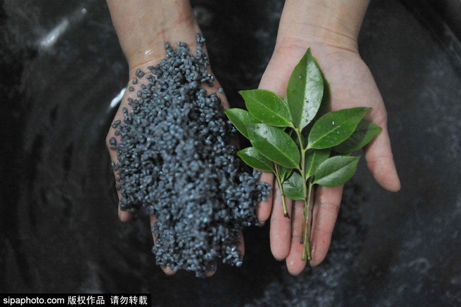 Black rice treats in summertime