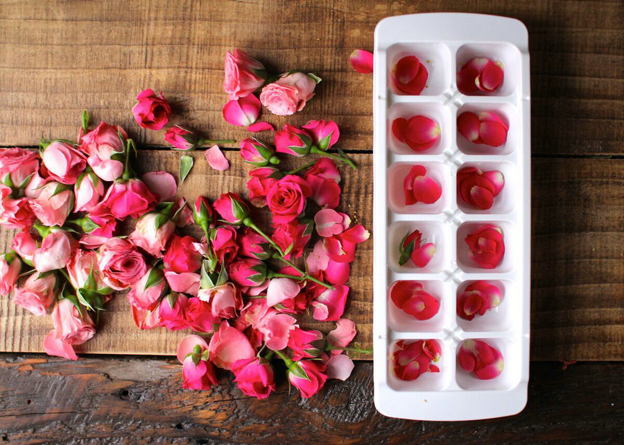 Stunning flower and fruit ice cools down scorching autumn