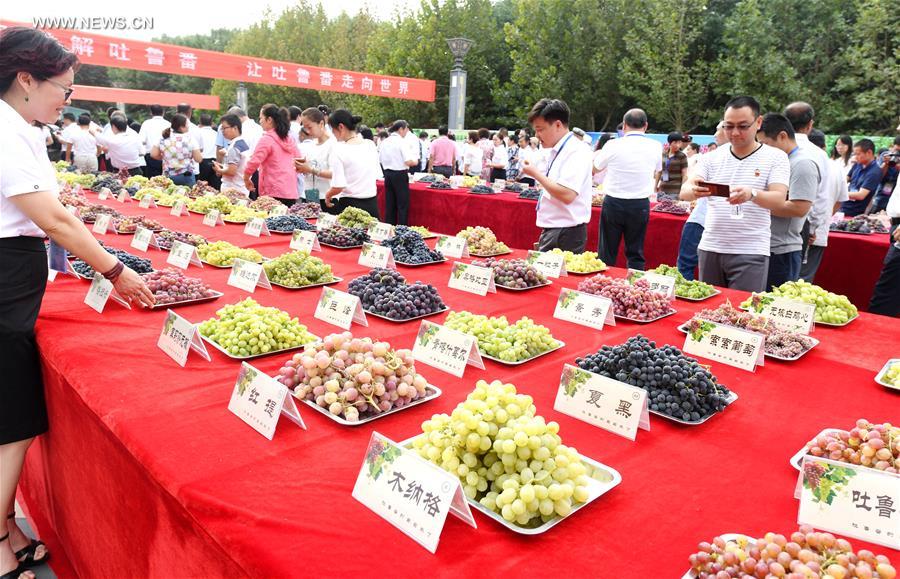 Grape festival opens at Turpan in NW China's Xinjiang