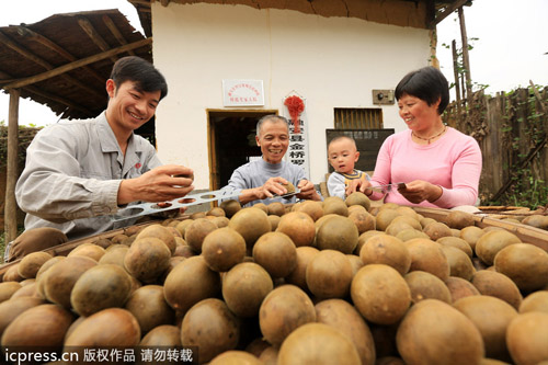 中國羅漢果變身美國汽水產(chǎn)業(yè)大救星？