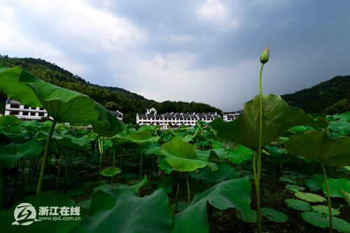 被“盤下”的利山村，一處秀山麗水的養(yǎng)生福地