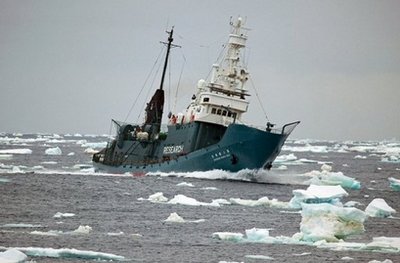 反捕鯨組織與日本捕鯨船再起沖突 遭高壓水槍驅(qū)趕