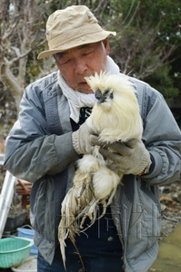 日本地震近一個月奇跡頻現(xiàn) 75歲老翁獲救、“雞堅強”生還