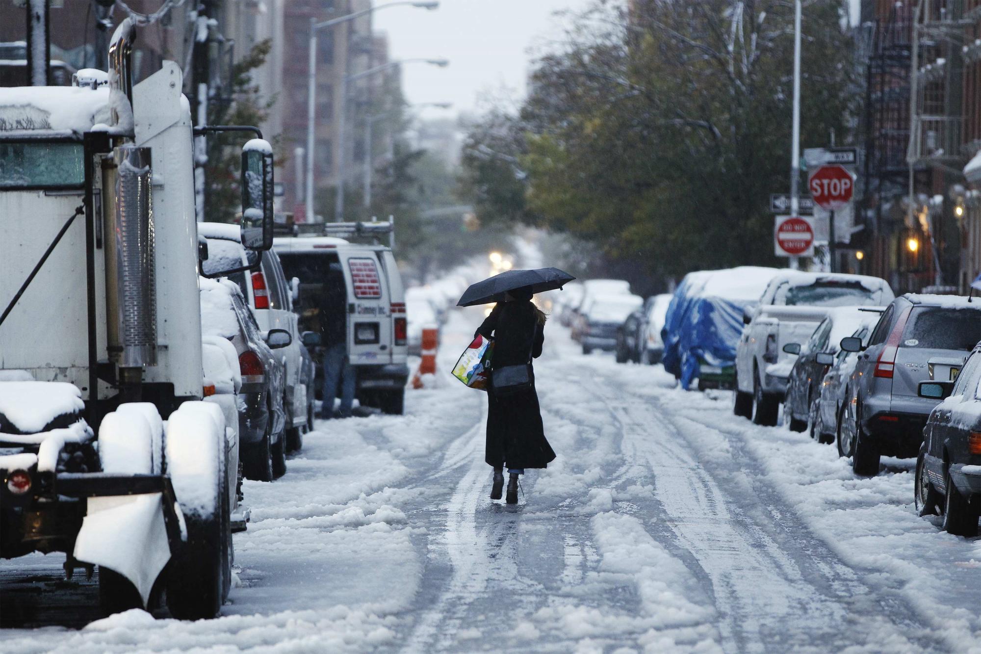 美國東部迎來罕見早雪 3人死亡逾200萬用戶斷電