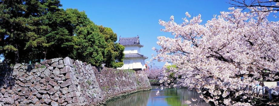 日本借大地震一周年感謝外國(guó)游客