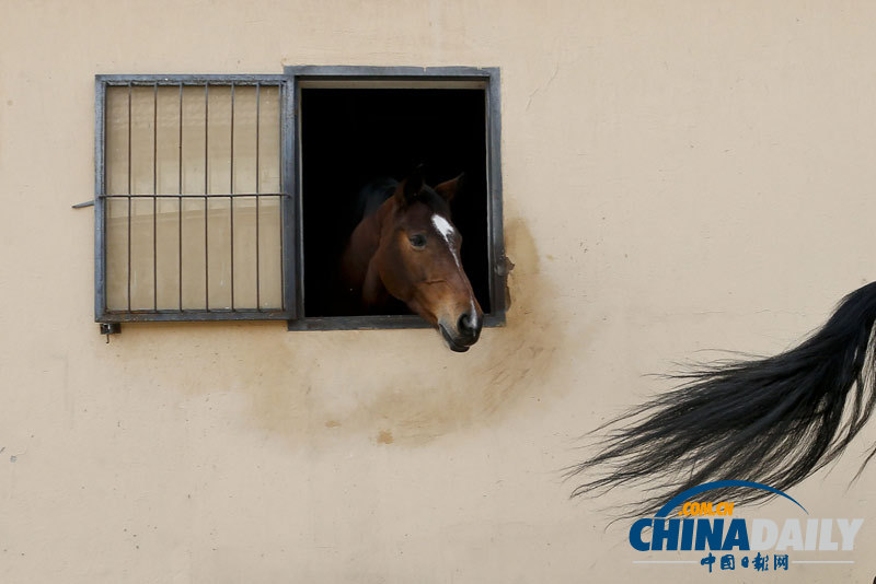 探訪京城頂級馬術(shù)俱樂部