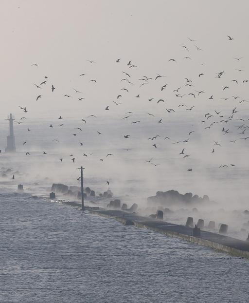 英媒：日本或面臨“特大地震” 7號(hào)地震是前震