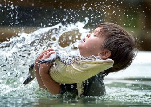 澳大利亞3歲男童同鱷魚親密嬉水 與蟒蛇為友 